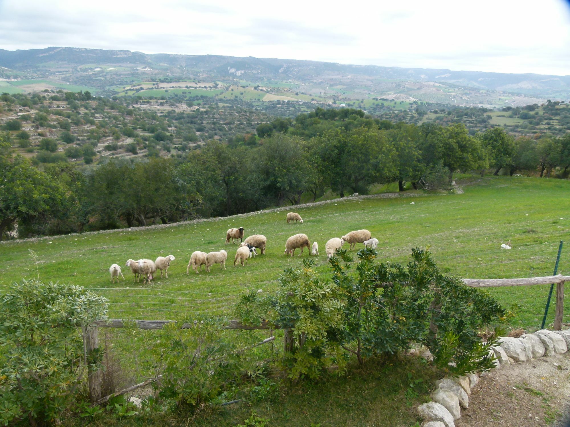 Agriturismo Villa Gaia Módica Exterior foto